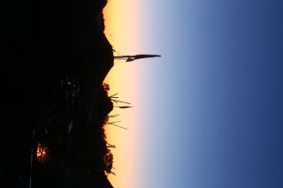 previewImage